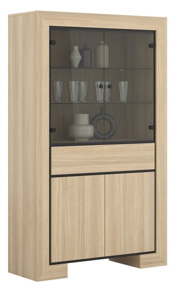 Könyvespolc Etrteo 100, Zárt, Fiókokkal, Ajtókkal, Edzett üveg, Laminált forgácslap, 185x113x41cm, Tölgy, Fekete