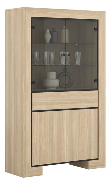 Könyvespolc Etrteo 100, Zárt, Fiókokkal, Ajtókkal, Edzett üveg, Laminált forgácslap, 185x113x41cm, Tölgy, Fekete
