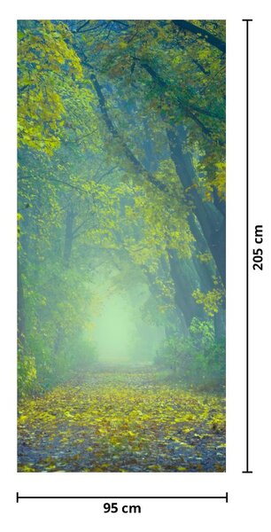 Fotótapéta ajtóra - Fákkal szegélyezett út (95x205cm)