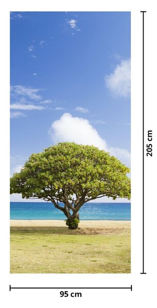 Fotótapéta ajtóra - Strand fával (95x205cm)