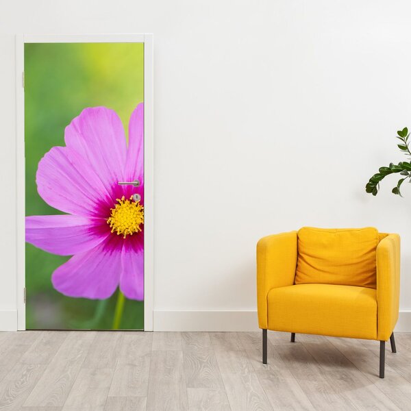 Fotótapéta ajtóra - Réti virág (95x205cm)