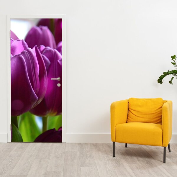 Fotótapéta ajtóra - Tulipánok (95x205cm)