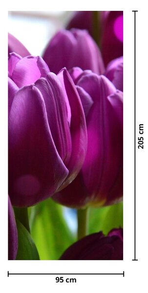Fotótapéta ajtóra - Tulipánok (95x205cm)