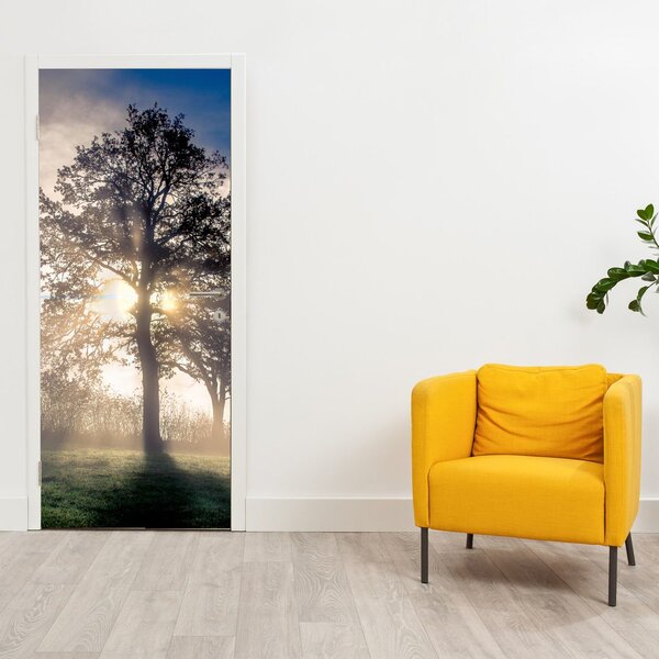 Fotótapéta ajtóra - Fa a ködben (95x205cm)