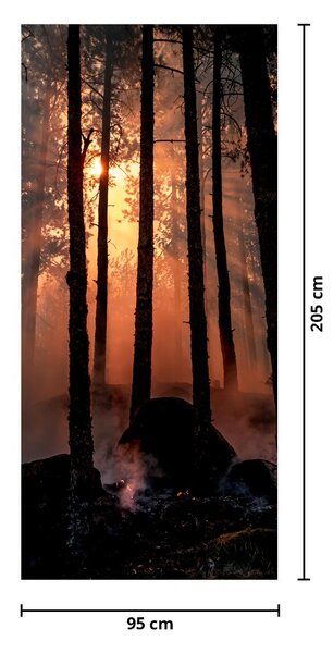 Fotótapéta ajtóra - Sötét erdő (95x205cm)