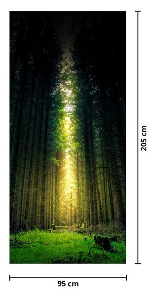 Fotótapéta ajtóra - Sötét erdő (95x205cm)