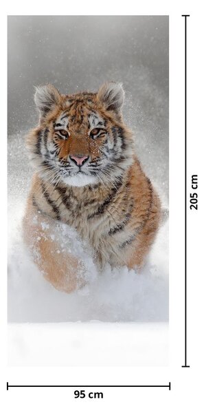 Fotótapéta ajtóra - Futó tigris a hóban (95x205cm)