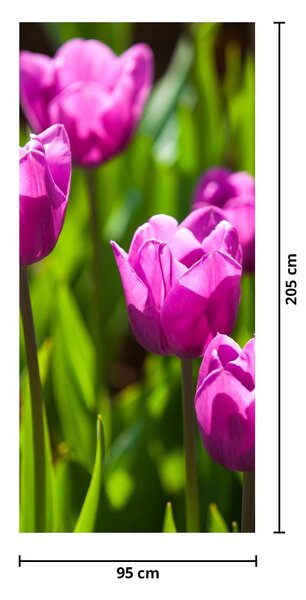 Fotótapéta ajtóra - Tulipánok a réten (95x205cm)