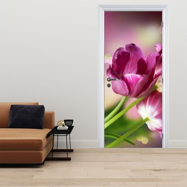 Fotótapéta ajtóra - Rózsaszín tulipán (95x205cm)