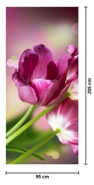 Fotótapéta ajtóra - Rózsaszín tulipán (95x205cm)