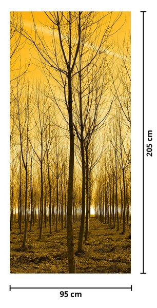 Fotótapéta ajtóra - Erdő naplementekor (95x205cm)