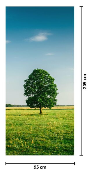 Fotótapéta ajtóra - Fa a réten (95x205cm)