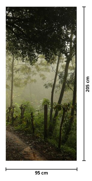 Fotótapéta ajtóra - Reggeli köd (95x205cm)