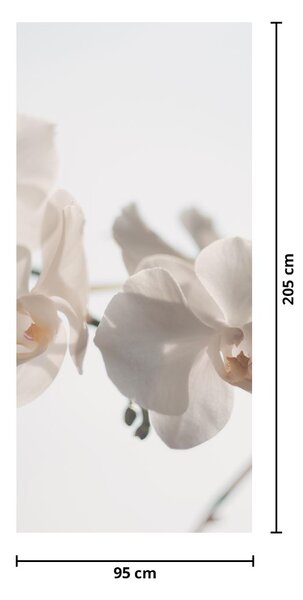 Fotótapéta ajtóra - Fehér orchideák (95x205cm)