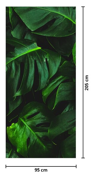 Fotótapéta ajtóra - Monstera levelek (95x205cm)