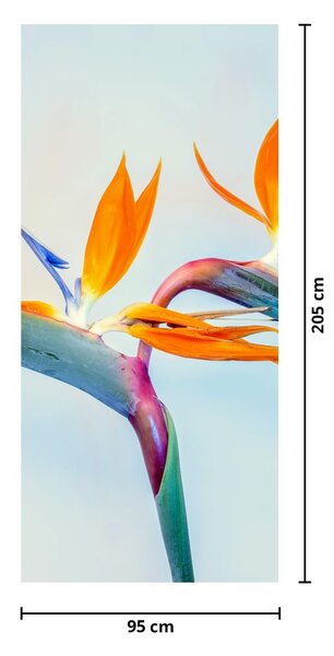 Fotótapéta ajtóra - Papagájvirág (95x205cm)