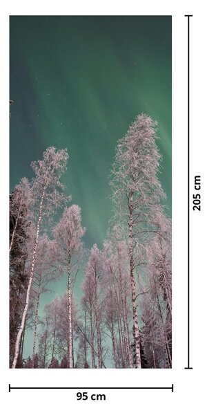Fotótapéta ajtóra - Északi fény fagyott fák felett (95x205cm)