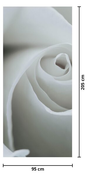 Fotótapéta ajtóra - Fehér rózsa (95x205cm)