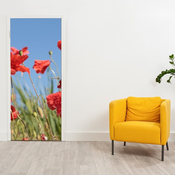 Fotótapéta ajtóra - Pipacsok (95x205cm)