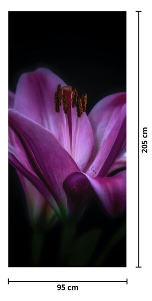 Fotótapéta ajtóra - Liliom (95x205cm)