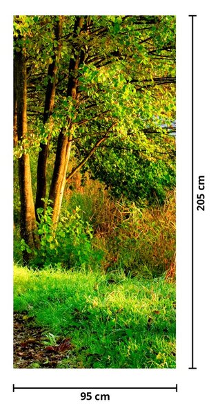 Fotótapéta ajtóra - Sétány a víz mentén (95x205cm)