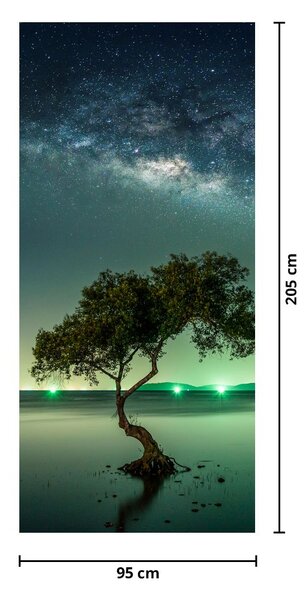 Fotótapéta ajtóra - Éjszakai égbolt (95x205cm)