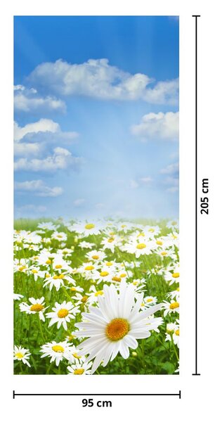 Fotótapéta ajtóra - Virágzó rét százszorszépekkel (95x205cm)