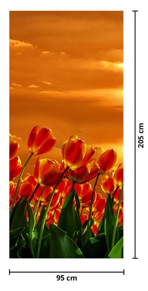 Fotótapéta ajtóra - Virágzó mező tulipánokkal (95x205cm)