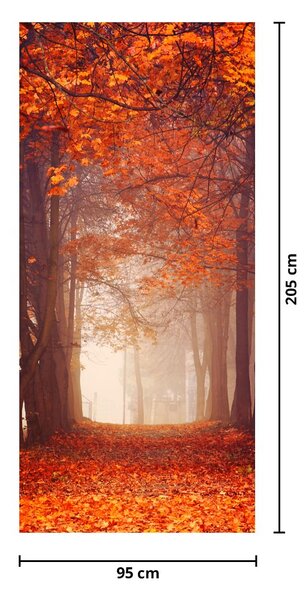 Fotótapéta ajtóra - Őszi erdő (95x205cm)