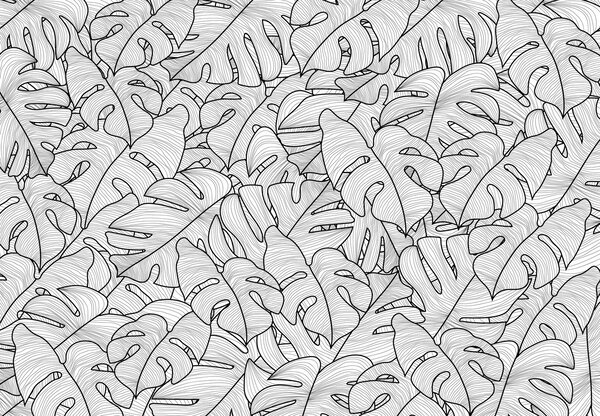 Fotótapéta - Monstera levelek (147x102 cm)