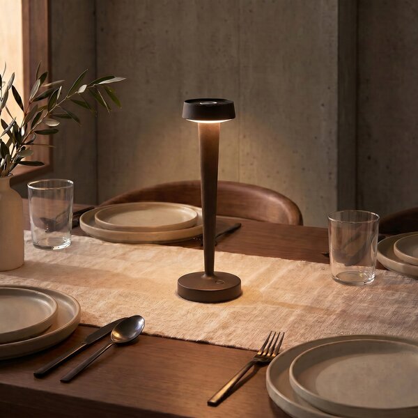 Kültéri Lámpa Lucande, Lea, dimmable, Barna / Rozsdabarna, Nappali, Fém, Modern