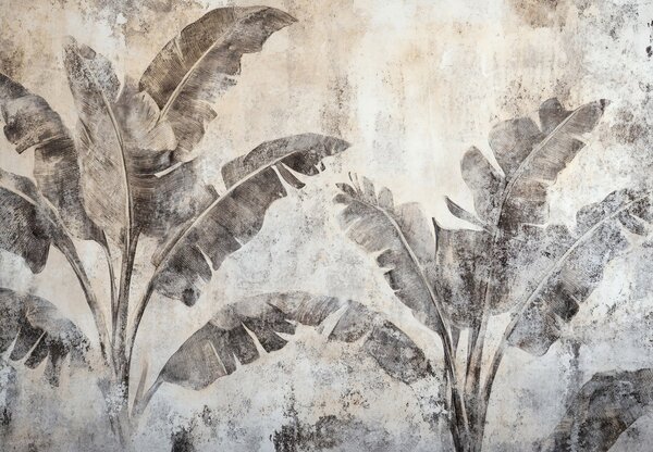 Fotótapéta - Banánfa a falon (147x102 cm)