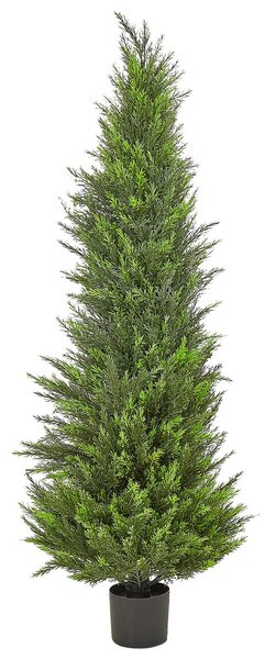 Műnövény CEDAR TREE 153 cm Zöld