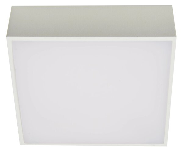 LED spotlámpa Falco 12 3000K fehér