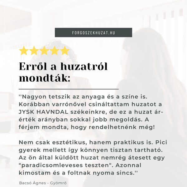 SzékHuzat JYSK HAVNDAL étkezőszékre (fehér)