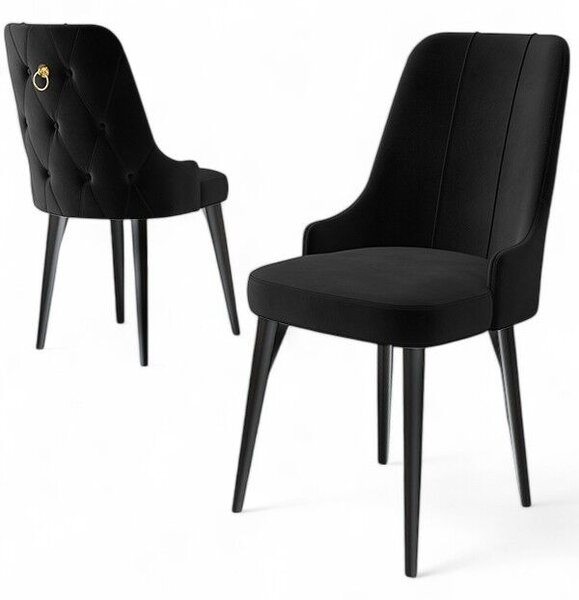 Hanah Home Chair Set (2 Pieces) Black Newa - Black