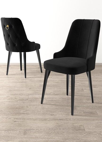 Hanah Home Chair Set (2 Pieces) Black Newa - Black