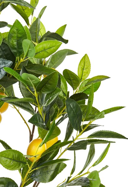 Műnövény LEMON TREE 105 cm Zöld