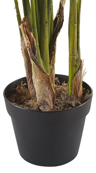Műnövény STRELITZIA TREE 115 cm Zöld