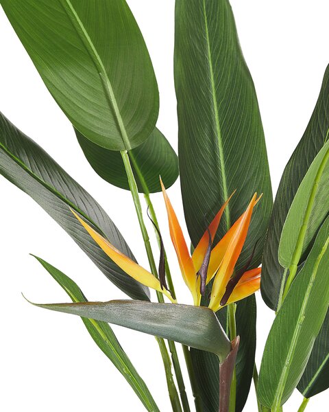 Műnövény STRELITZIA TREE 115 cm Zöld