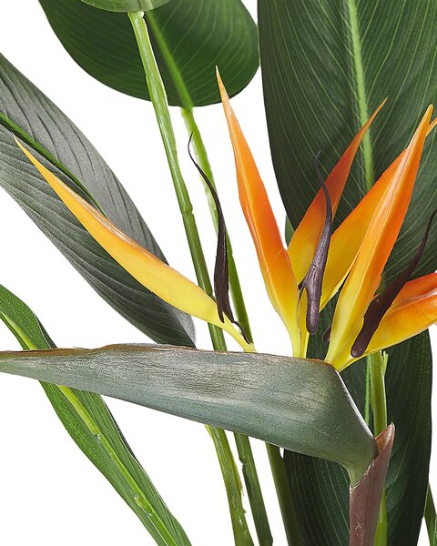 Műnövény STRELITZIA TREE 115 cm Zöld