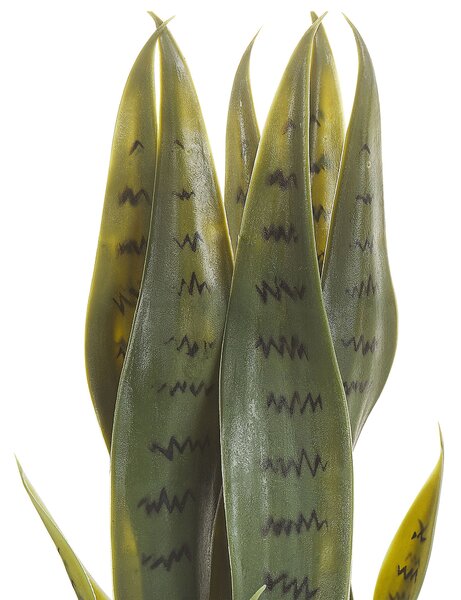 Műnövény SNAKE PLANT 40 cm Zöld