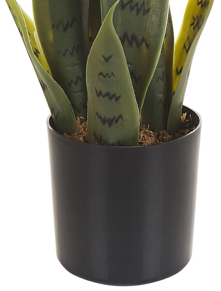 Műnövény SNAKE PLANT 40 cm Zöld