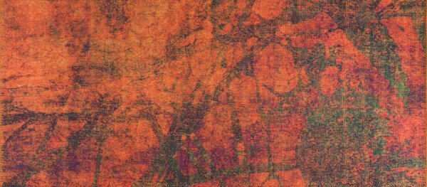Conceptum Hypnose Szőnyeg (210 x 310) Multicolor Fusion Chenille - Narancs AL 09