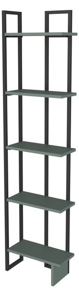Hanah Home Könyvespolc Black Green Alice - Fekete, Zöld