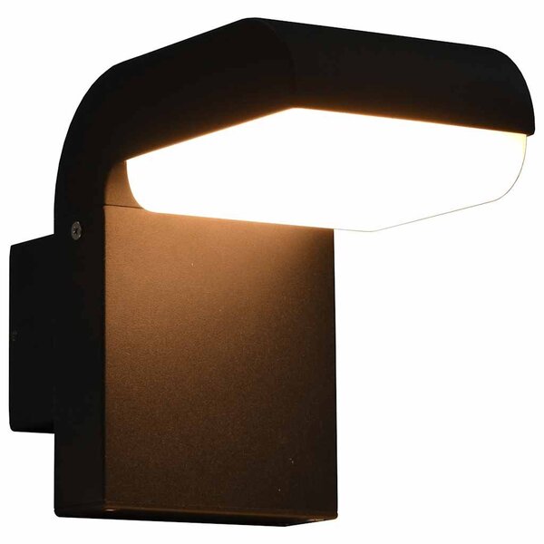 Fekete ovális kültéri LED falilámpa 9 W