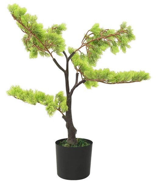 Zöld cserepes mű ciprusbonsai 60 cm