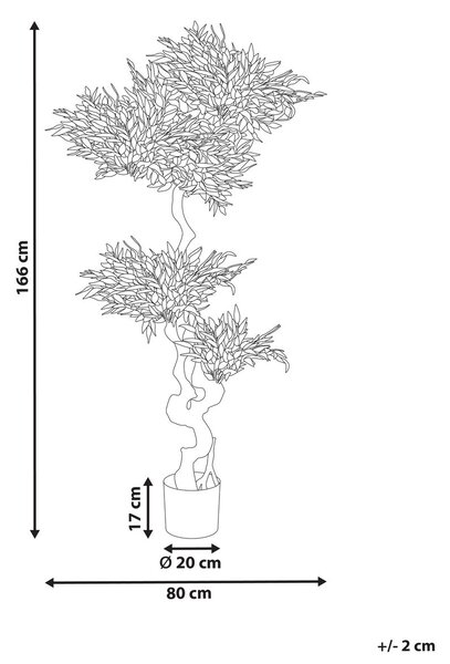 Műnövény RUSCUS TREE 166 cm Zöld