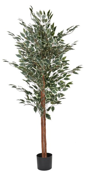 Műnövény FICUS 167 cm Zöld
