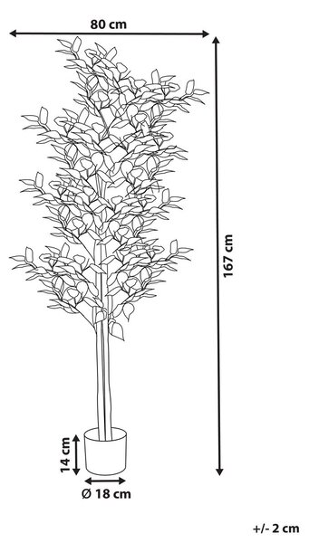 Műnövény FICUS 167 cm Zöld